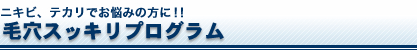 にきび・テカリでお悩みの方に!毛穴スッキリプログラム